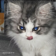 恶子咩咩