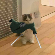 VtrƸ̵̡Ӝ̵̨̄Ʒ