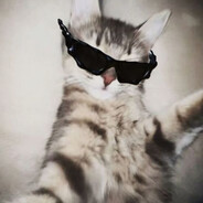 𝙀𝙘𝙨𝙩𝙖𝙨𝙮