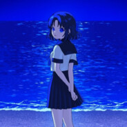 魏公村离异退休老教授