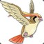 Pidgeotto