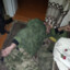 Злой волк