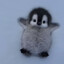 ][daniil_brs][