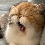 本来讨厌下雨的天空