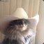 Cowboy Cat