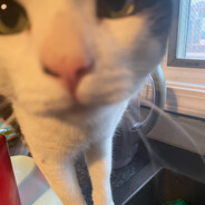 charles