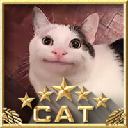CAT_BenJieMin