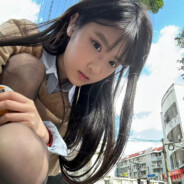 厦门没有茉莉花