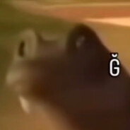 Ğ