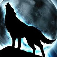 WOLF CSGOMind.net