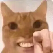 盗号狗你妈似了