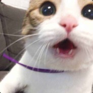 偶然路过的父亲