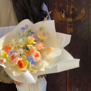 颜初初1000+  随机