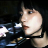 北冰洋的山茶花