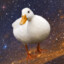 QuantumDuck