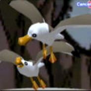 Seagull - steam id 76561197971241092
