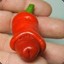 Piment360