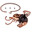 nsm6