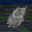 glitched cat