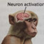 Neuron Activation