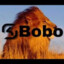 Bobo