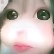 无敌极品少萝大王