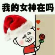 胖胖和他的朋友们