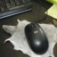LowOrbit66