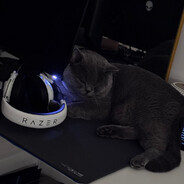 Avatar snapshot