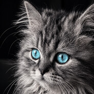 Yuliyan's avatar