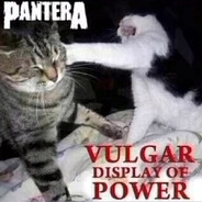 BallinCat43