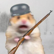 Hamsterdiscount