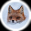 MoonFoxis