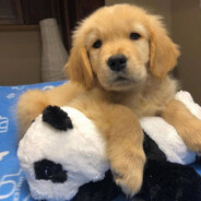 18岁帅气男主角