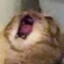 ScreamingLady