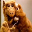 ALF