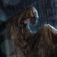 Arianrhod
