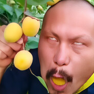 黑布林大李子真甜