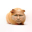 volodya hamster