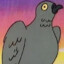 a pigeon