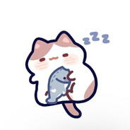 小星星0.0 avatar