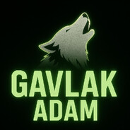 GAVLAK ADAM avatar