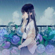 素质宝宝不会玩