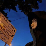 猫猫喵喵狗狗叫