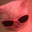 SrHidaLary(ᵔᴥᵔ)