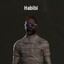 Habibi