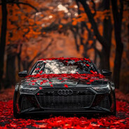 Audi Perfomance