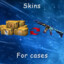 Skins for cases