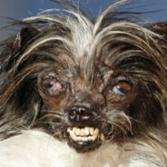 я не ты - steam id 76561199096853779