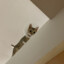 Gary001